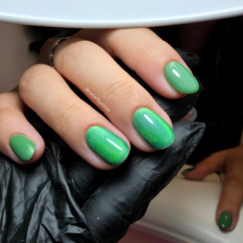 a8db6d88-1130-4e20-962b-e9d025b15d9e